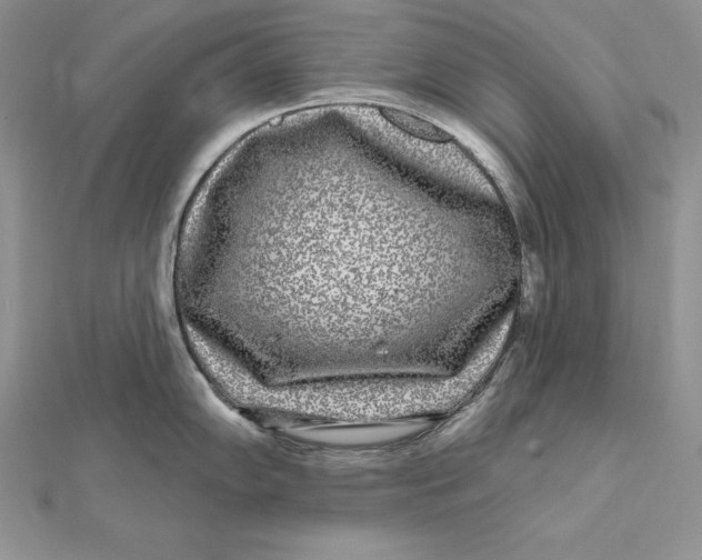 X0000112361102200909031905