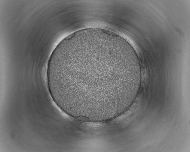 X0000112361103200909031905