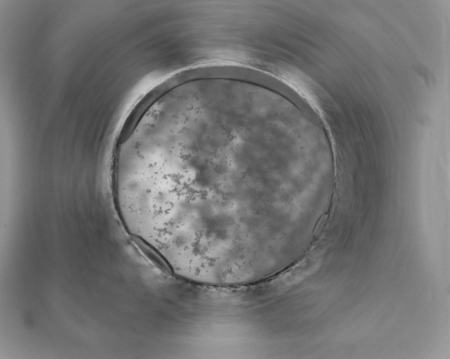 X0000112361104200909031905