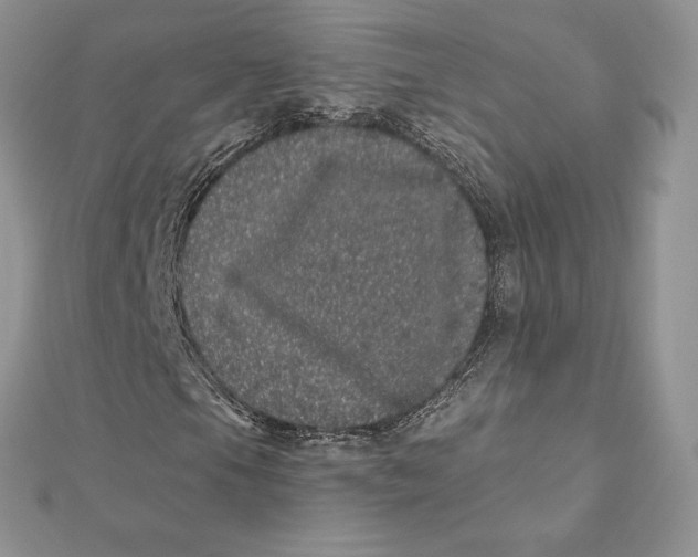 X0000112361105200909031904