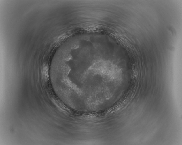 X0000112361106200909031904