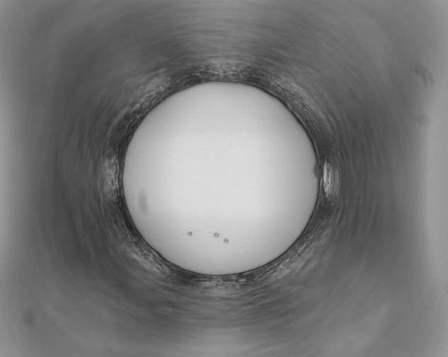 X0000112361107200909031904