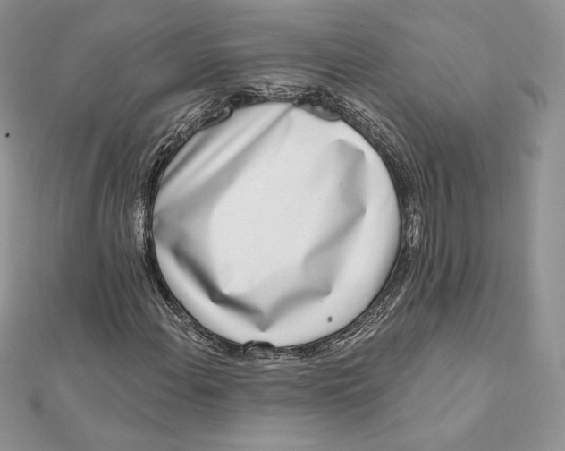 X0000112361108200909031904