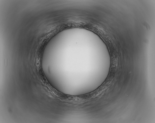 X0000112361109200909031904