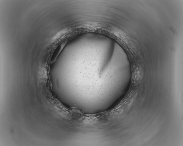 X0000112361110200909031904