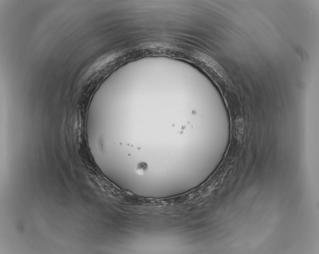 X0000112361111200909031904