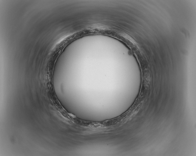 X0000112361112200909031904