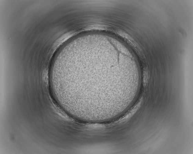 X0000112361113200909031904