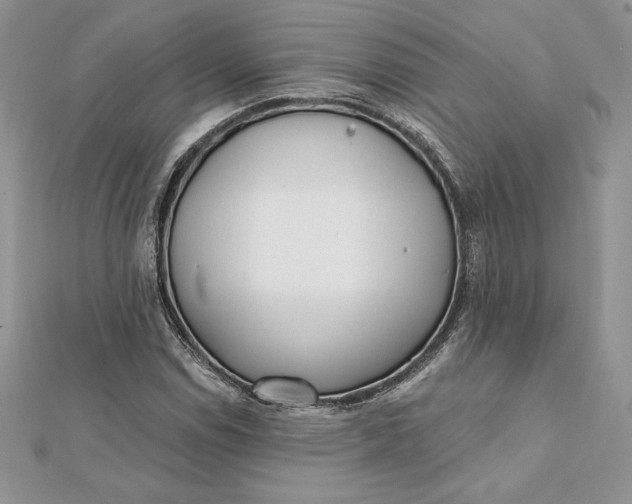 X0000112361114200909031904