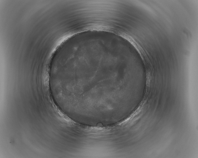 X0000112361115200909031904