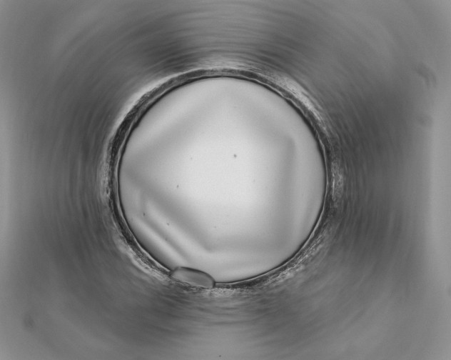 X0000112361116200909031904