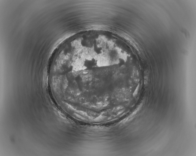 X0000112361117200909031904