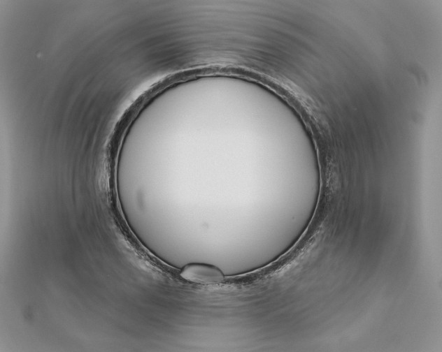 X0000112361118200909031904