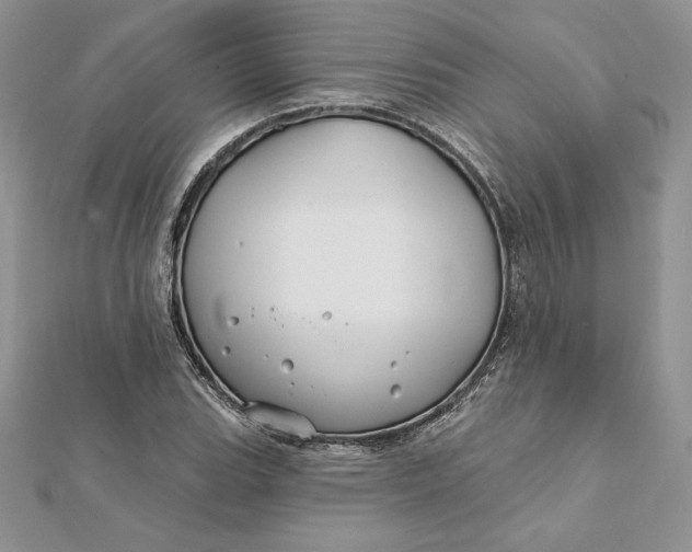 X0000112361119200909031904