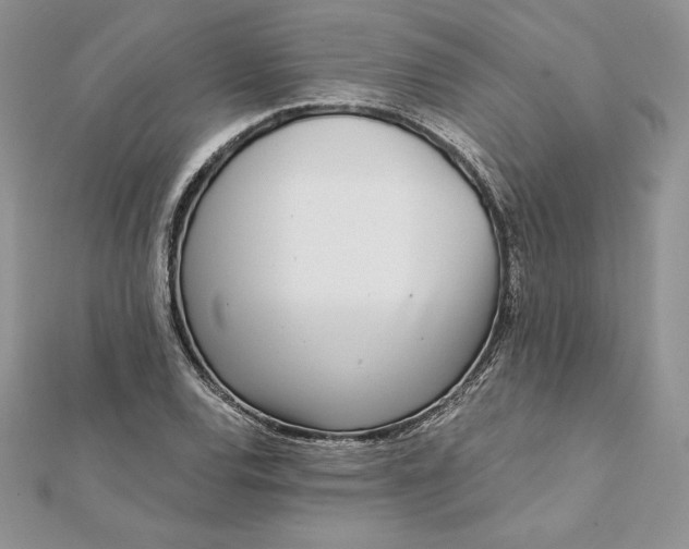 X0000112361120200909031904