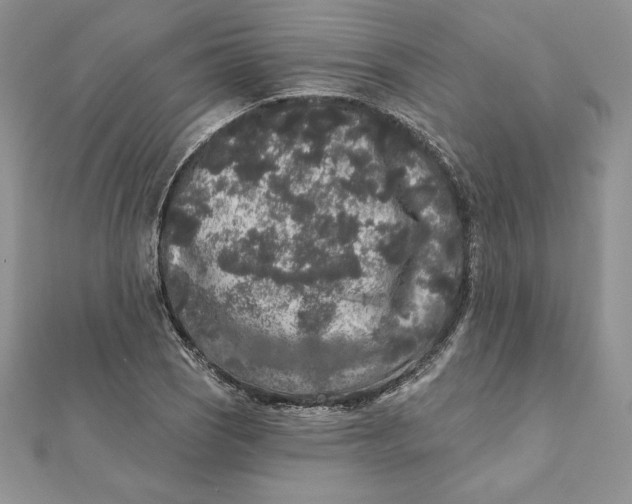 X0000112361121200909031904