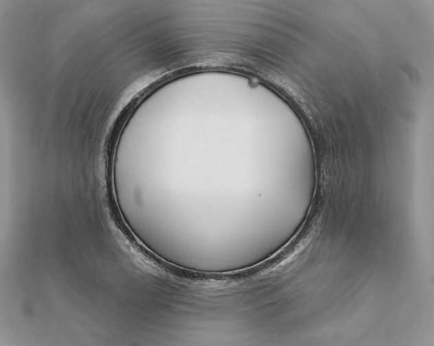 X0000112361122200909031904