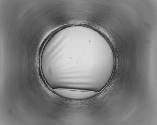 X0000112361124200909031904