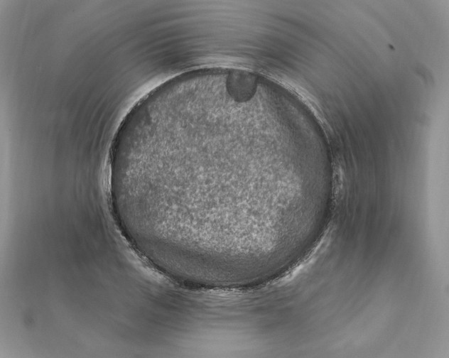 X0000112361125200909031904