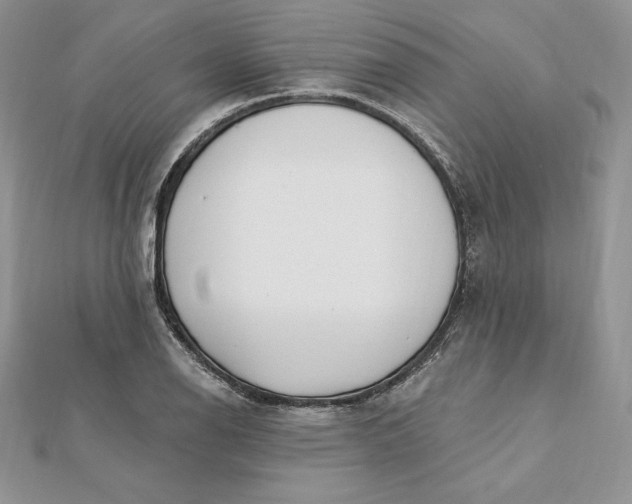 X0000112361126200909031904