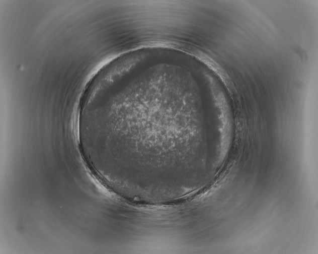 X0000112361127200909031904