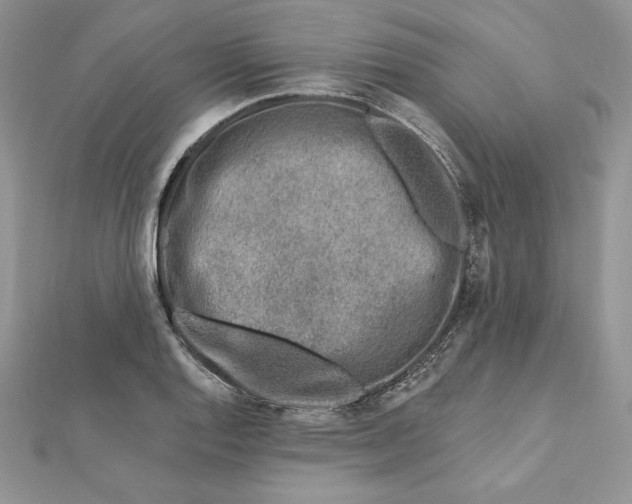 X0000112361128200909031904