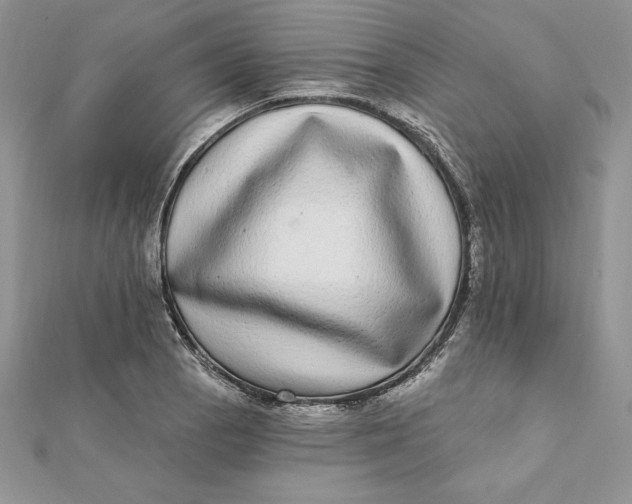 X0000112361129200909031904