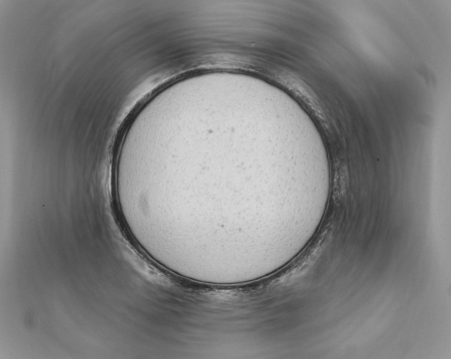 X0000112361130200909031904