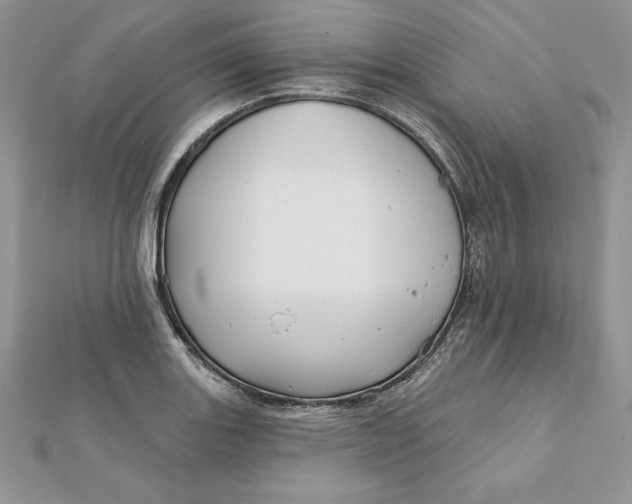 X0000112361131200909031904