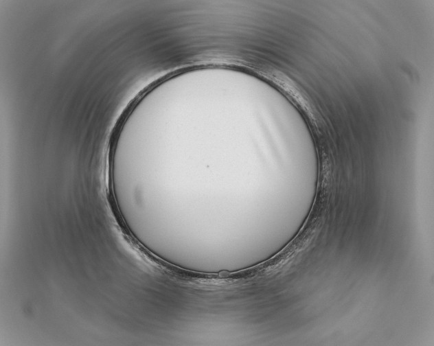 X0000112361132200909031904