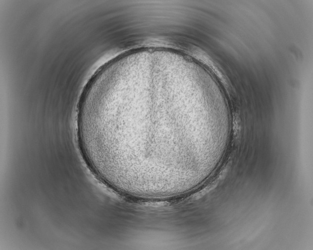 X0000112361133200909031904