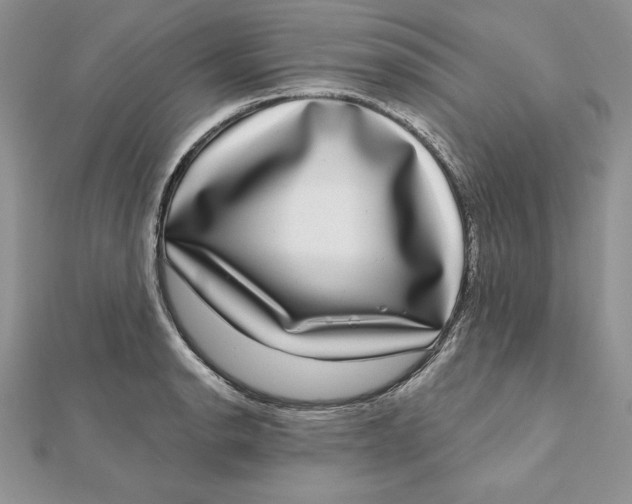 X0000112361134200909031904