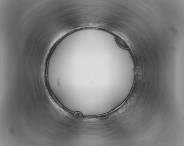 X0000112361135200909031904