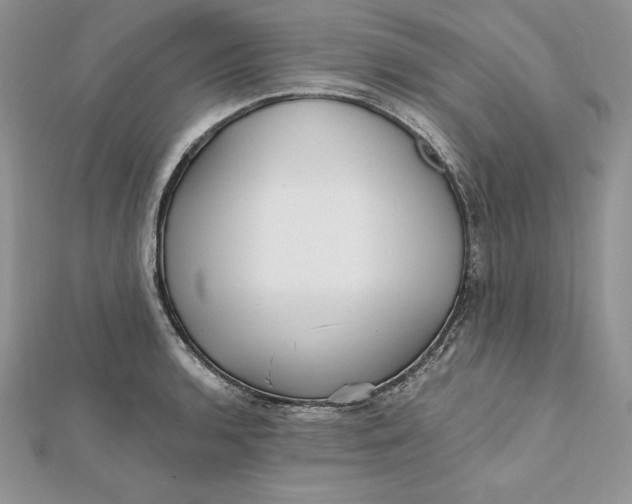 X0000112361136200909031904