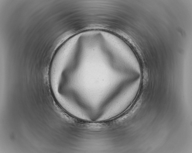 X0000112361137200909031904