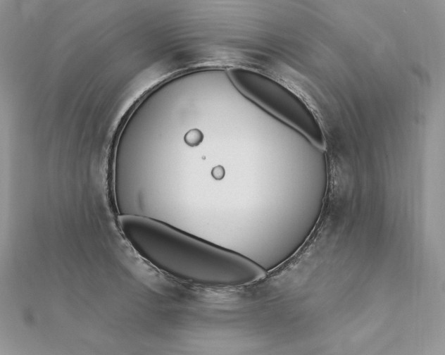 X0000112361138200909031904