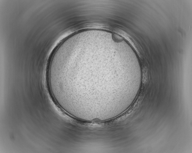 X0000112361139200909031904