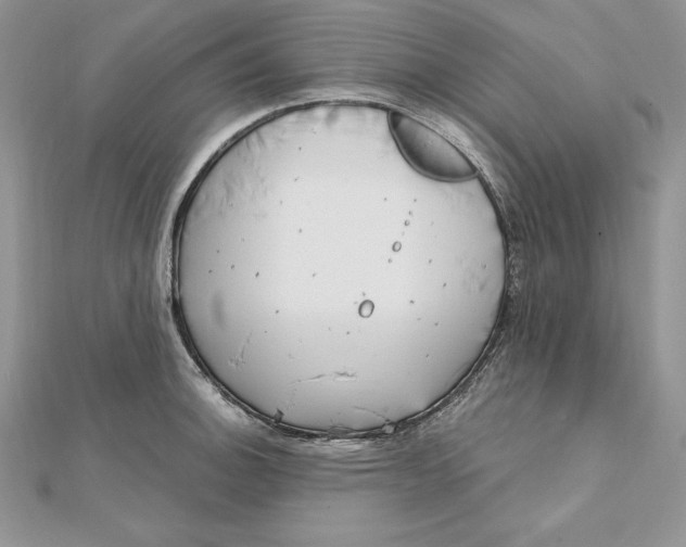 X0000112361140200909031904