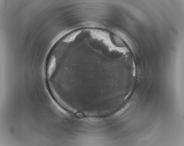 X0000112361141200909031904