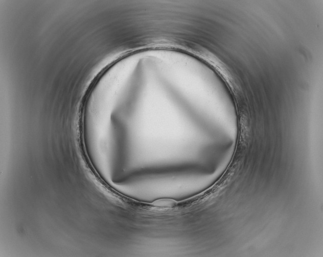 X0000112361142200909031904