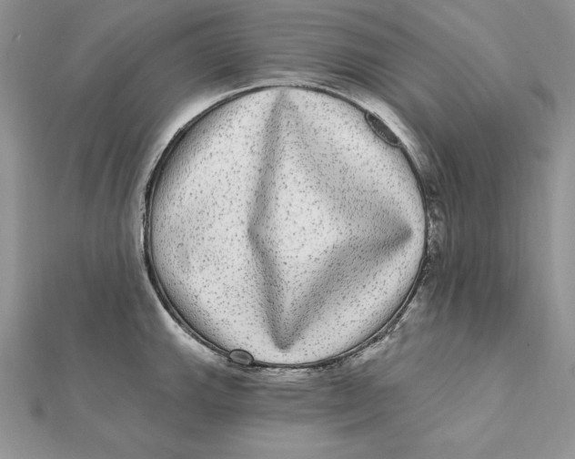 X0000112361143200909031904