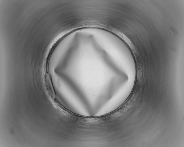 X0000112361144200909031904