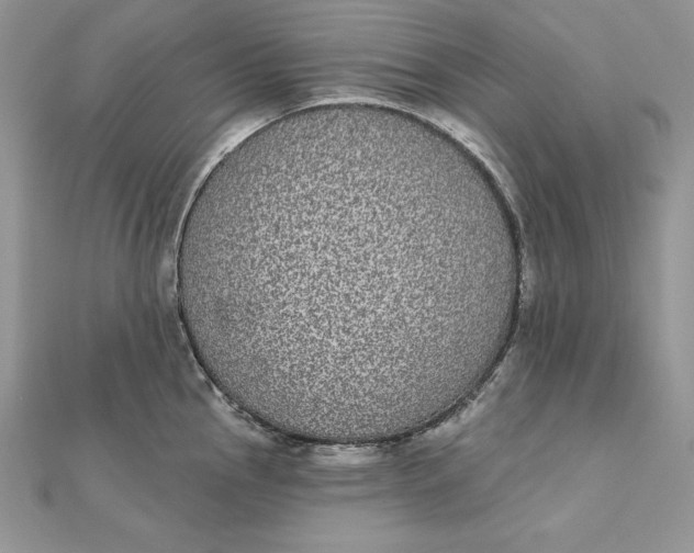 X0000112361145200909031904