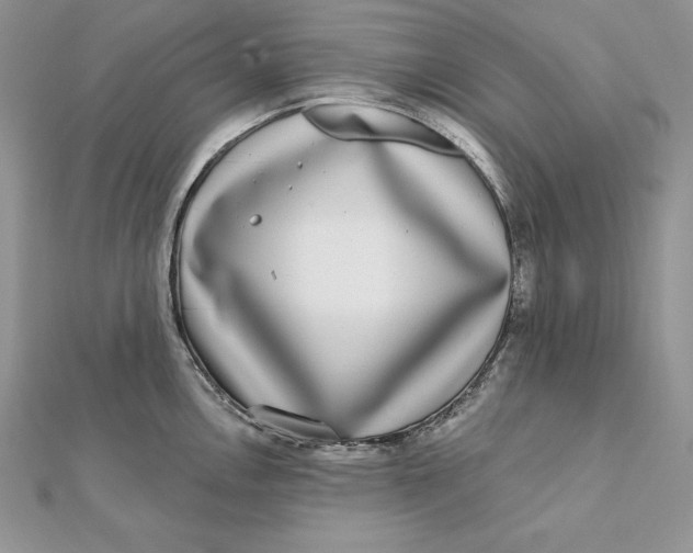 X0000112361146200909031904