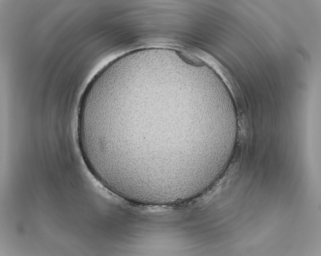 X0000112361147200909031904