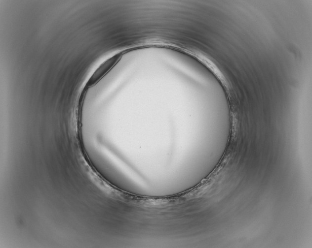 X0000112361148200909031904