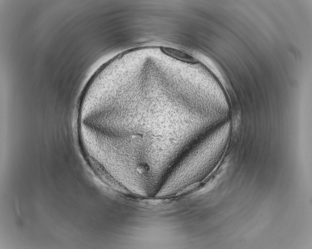 X0000112361149200909031904