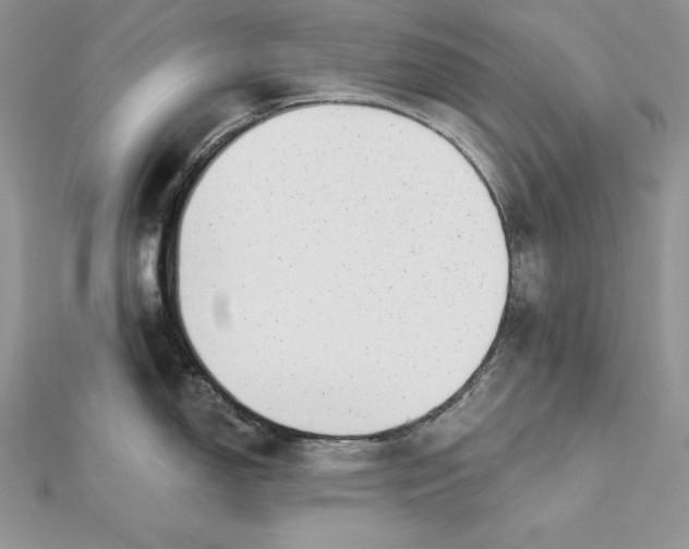 X0000112361150200909031904