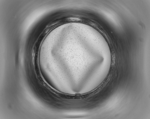 X0000112361151200909031904