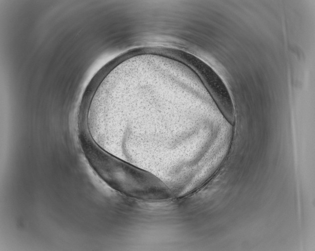 X0000112361152200909031905